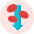 Anemia Profile Icon