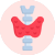 Thyroid Test Packages Icon