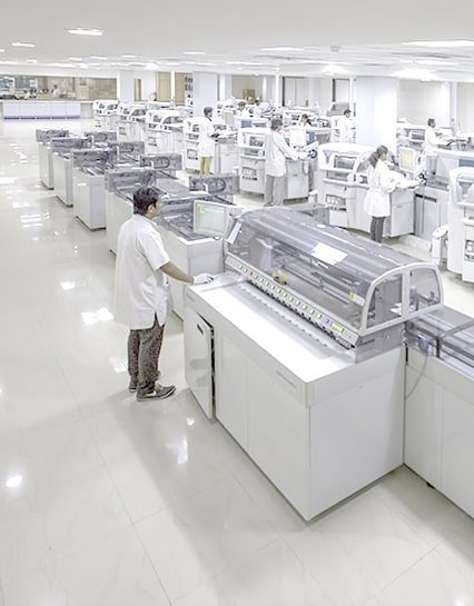 lab